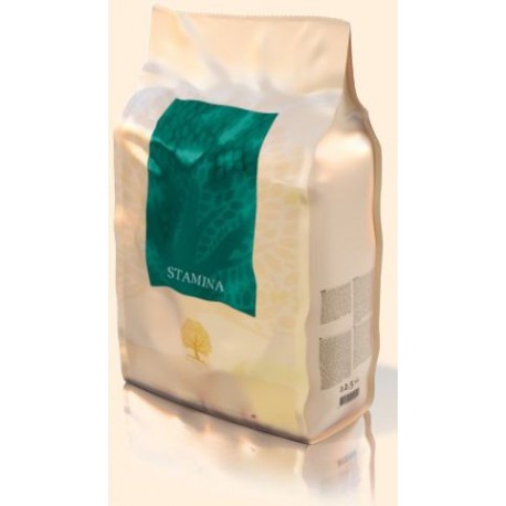 ESSENTIAL STAMINA 4 x 2,5KG